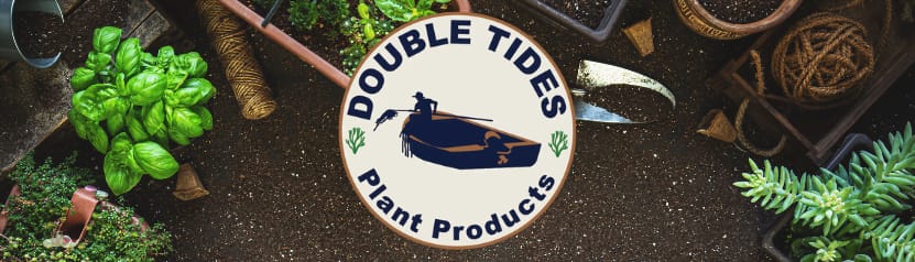 Double Tides