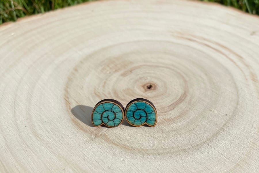 Gastropod Seashell Studs - Image 2